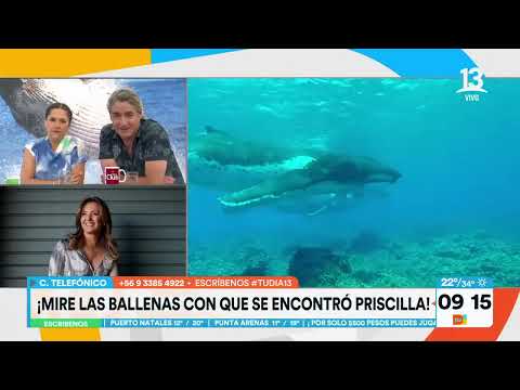 Pri cumplió su sueño avistó ballenas en Chañaral de Aceituno | Tu Día | Canal 13