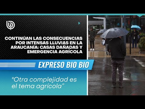 Continúa las consecuencias por intensas lluvias en La Araucanía: casas dañadas y emergencia agrícola