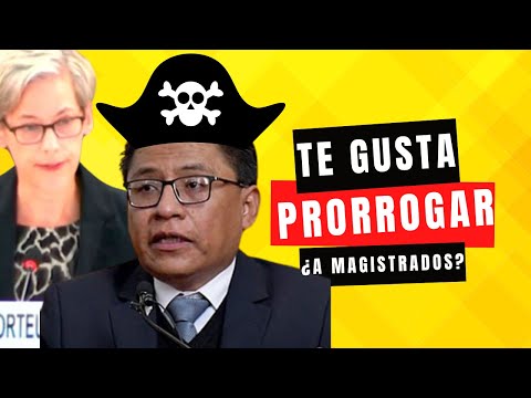 POR ESTO el GOBIERNO esta PREOCUPADO LA RELATORA DE LA ONU PONE en JAQUE a BOLIVIA