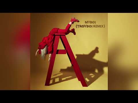 Billie Eilish - my boy (TroyBoi Mashup)