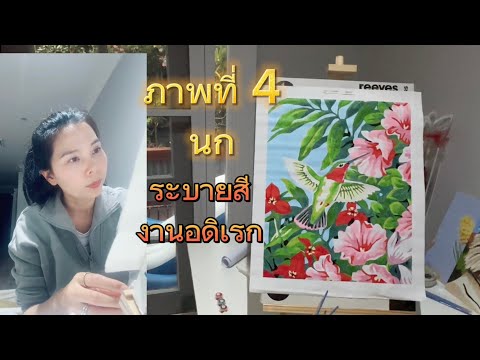 ภาพที่4นกระบายสีงานอดิเรก