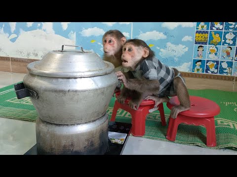 The Mimi Kuku duo is funny when rummaging through the pot of leaf cakes