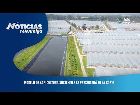 Modelo de agricultura sostenible se presentará en la COP16 - Noticias Teleamiga