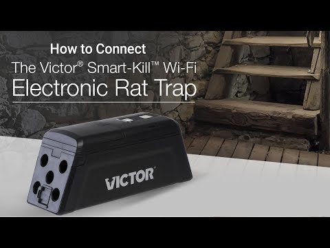 Victor Smart-Kill El-musfälla Wifi