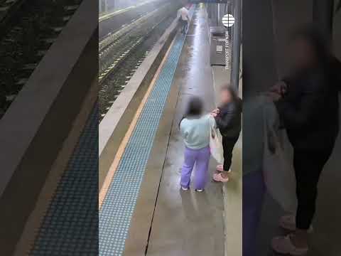 Un caballo se escapa y acaba en el andén de una estación de tren #viral #viralvideo #australia
