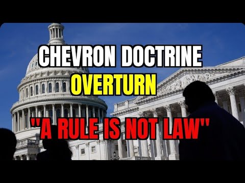 Bill Gates , Elon Musk and other Elites Punching The Air After Chevron Doctrine Overturn