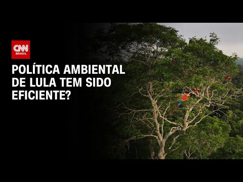 Cardozo e Coppolla debatem se política ambiental de Lula tem sido eficiente | O GRANDE DEBATE