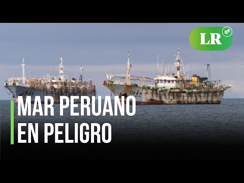 ¿Sabías que hay 600 embarcaciones chinas pescando ilegalmente en el mar peruano?