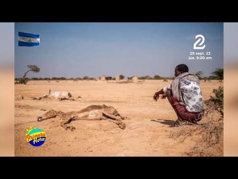 Sequía afecta la fauna salvaje en extinción en Kenia