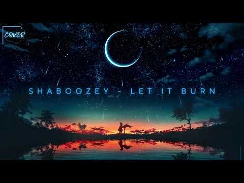 shaboozey - Let It Burn | Cover By Angel