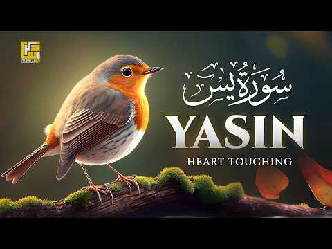Surah Yaseen (Yasin) سورة يس | Ultimate Relaxing Quran Will Touch Your Heart إن شاء الله #surahyasin