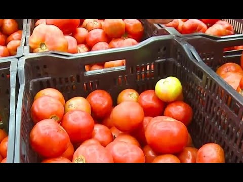El tomate sube por tercera semana consecutiva