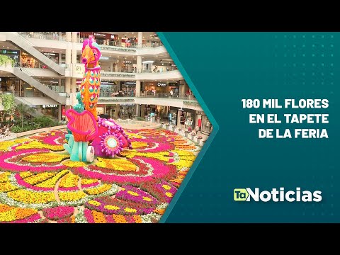 180 mil flores en el tapete de la Feria - Teleantioquia Noticias