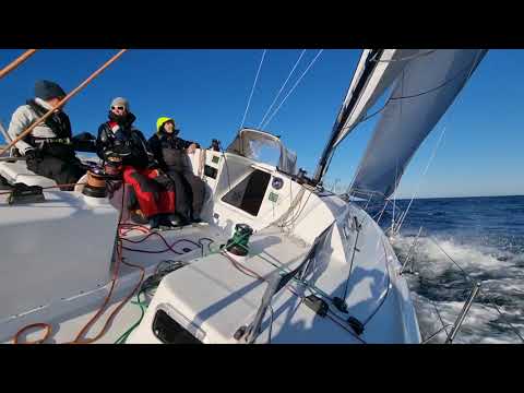 Trip from Rostock to Nieupoort on the Pogo 40 "Black Pearl", july 2021