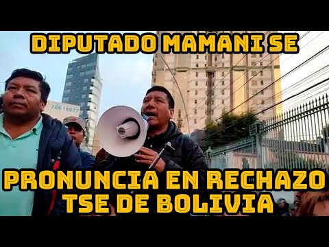 ARNOLD ALANEZ PIDE UNIDAD OARA DEFENDER LA DEMOCRACIA EN BOLIVIA..