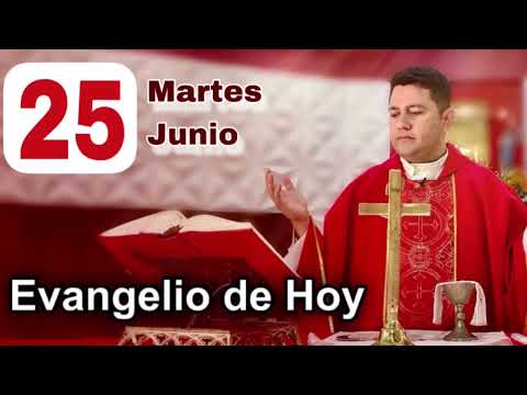 EVANGELIO DE HOY  MARTES 25 DE JUNIO 2024 (San Mateo 7, 6.12-14) | PADRE RICARDO PRATO