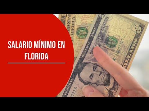 ÚLTIMA HORA: ¿Buenas noticias para los trabajadores? subirá el salario mínimo en Florida