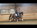 Dressage horse Prachtige 5 jarige merrie te koop