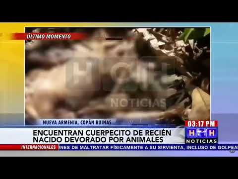 Encuentran cuerpo de recién nacido devorado por animales en #NuevaArmenia