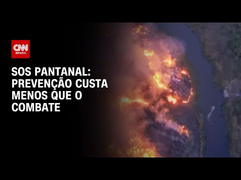 SOS Pantanal: Prevenção custa menos que o combate | BASTIDORES CNN