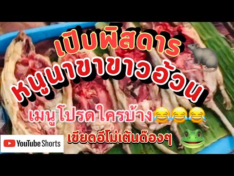 เปิบพิสดาร-เมนูโปรดใครบ้าง-🐀🐸 เปิบพิสดาร-เมนูโปรดใครบ้าง-🐀🐸