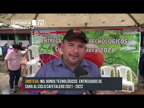 Nicaragua lanza programa de paquetes tecnológicos para mantenimiento de cafetales