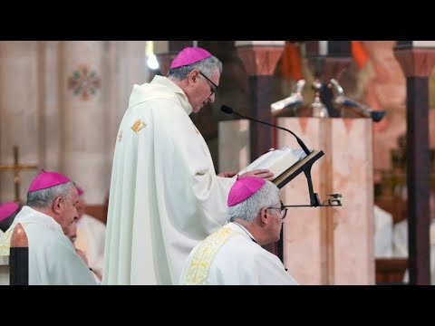 Fin de vie : en assemblée, les évêques appellent à ne pas «dévoyer la fraternité»