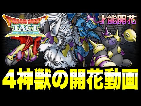 【ドラクエタクト】４神獣開花して火力検証『キングスぺ―ディオ、クインガルハート、グラブゾンジャック、ディアノーグエース』フルパネル解放！！！【DQT】