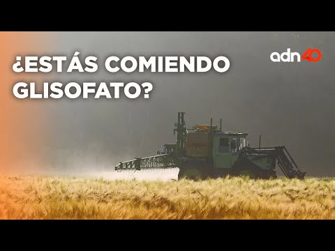 Comer sin glifosato