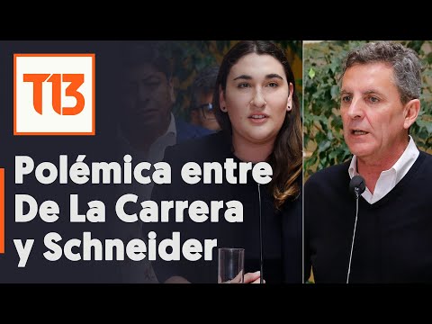 Usted jamás podrá abortar: De La Carrera a Schneider en controvertida sesión en la Cámara