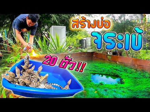 สร้างบ่อ-จระเข้-20-ตัว--Build- สร้างบ่อ-จระเข้-20-ตัว--Build-