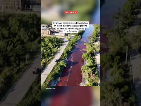 Arroyo se tiñe de rojo en Argentina #arroyo #rojo #argentina #laplata