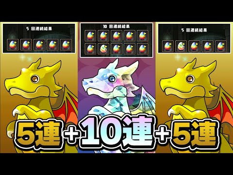 俺だけフェス限確定ガチャ20連！？【パズドラ】