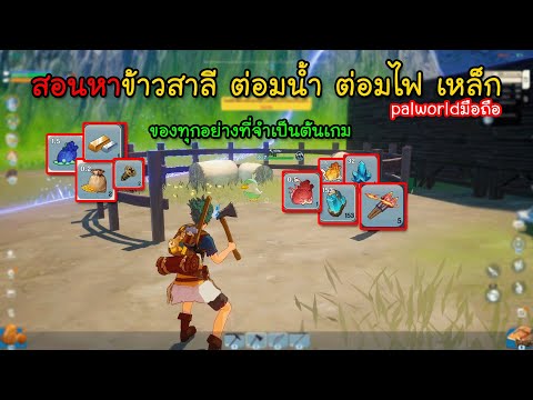 MiraiboGO[4]สอนหาข้าวสาลีต่