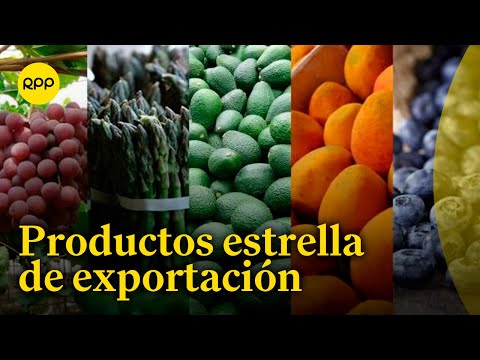 Exportaciones peruanas y sus mercados potenciales
