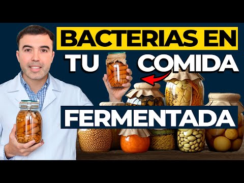 ALIMENTOS FERMENTADOS DEBES CONSUMIRLOS - La Verdad De Los Alimentos Probioticos