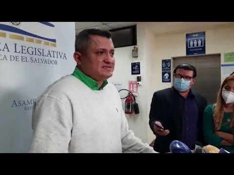 Diputados salientes piden cambios en ARENA tras el declive de las elecciones