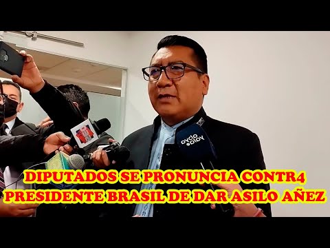 DIPUTADO MAMANI SE PRONUNCIA POR INTROMISIÓN DEL PRESIDENTE BRASIL DE QU3RER DAR ASILO POLITICO AÑEZ