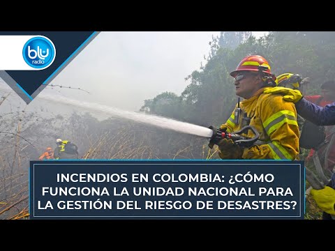 Incendios en Colombia: ¿cómo funciona la Unidad Nacional para la Gestión del Riesgo de Desastres?