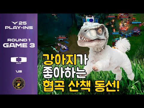 [퍼피교육] 강아지 산책이 달라집니다. | DK vs BFX | 게임 3 하이라이트 | 09.04 | 2025 LCK 플레이-인