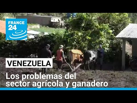 Sector ganadero y agrícola, los más afectados por la falta de combustible y el contrabando