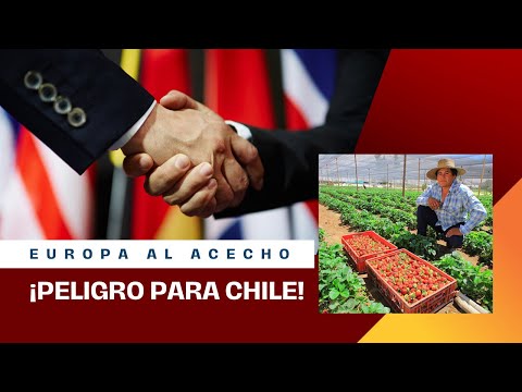 ¿Un peligro para Chile?: Reglamento 2023/1115 de la Unión Europea