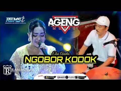 NGOBOR KODOK - ELSA AMELIA - AGENG MUSIC LIVE REMSI 2026
