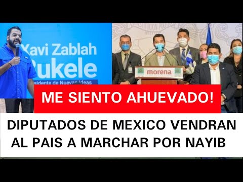 DIPUTADOS DE MEXICO VENDRAN A EL SALVADOR A MARCHAR POR NAYIB!