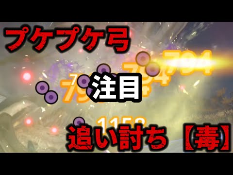 【モンハンNow】プケプケ弓×追い討ち毒がやばい🔥金レイア新スキル紹介!!初心者おすすめ火力を上げる装備構成!リオレイア希少種【モンスターハンターNow初心者必見】