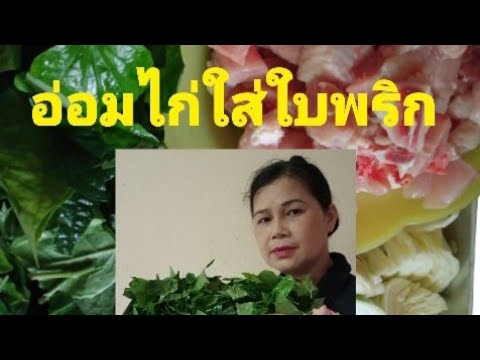 อ่อมไก่ใส่ใบพริกข้าวเหนียวตุ้ย อ่อมไก่ใส่ใบพริกข้าวเหนียวตุ้ย
