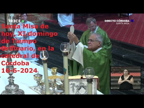 Santa Misa de hoy, XI domingo de Tiempo Ordinario, en la catedral de Córdoba, 16-6-2024