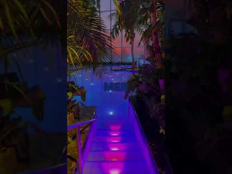 Alonzo : On met les voiles #youtube
