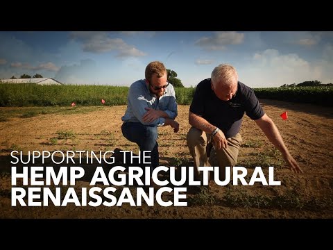 Supporting the Hemp Agricultural Renaissance
