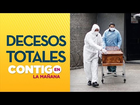 Chile registra 7.800 fallecidos por Coronavirus - Contigo e La Mañana